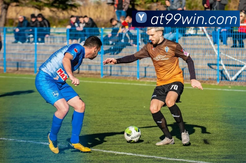 AT99娱乐城官网平台生态图